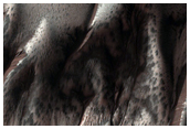 Dune Gullies in Late Southern Winter