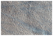 Northern Plains Terrain