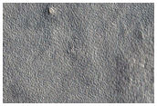 Northern Plains Terrain