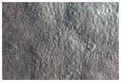 Northern Plains Terrain