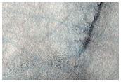 Northern Plains Terrain and Mega Polygon