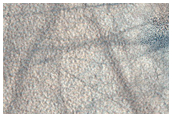 Northern Plains Terrain