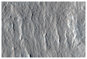 Distal Margins of the Western Ejecta of Corinto Crater