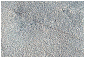 Northern Plains Terrain