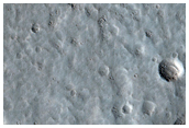 Alba Patera Flow Margin