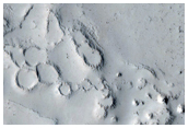Cone Field in Phlegra Dorsa