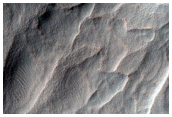 Western Edge of Hellas Planitia
