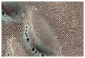USGS Dune Database Entry Number 2449-589