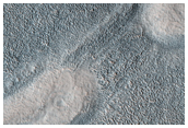 Proposed Future Mars Landing Site: Acidalia Planitia Mud Volcanoes