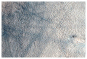 Northern Plains Terrain