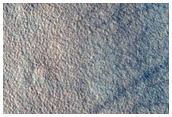 Northern Plains Terrain