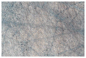 Northern Plains Terrain