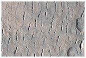 Incipient Scallops and High Density of Pits along Polygon Cracks