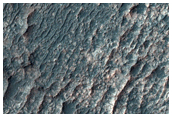 Light-Tone Deposit with Polygonal Forms on Crater Floor