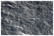 Sample of Northern Plains with Fresh Crater