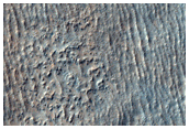 Plains Northeast of Zea Dorsa