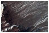 Volatiles and Gullies in Asimov Crater