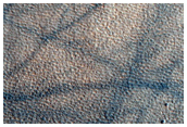 Possible Olivine-Rich Terrain in Northern Plains