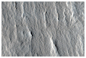 Distal Margins of the Western Ejecta of Corinto Crater
