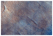 Gullies and Patterned Ground
