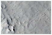 Cratered Cones and Dissected Mantle in Tartarus Colles