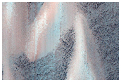 USGS Dune Database Entry Number 1684-579