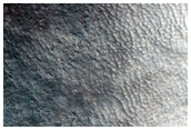 Gullies on Crater