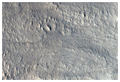 Gullies in Crater and Mantle Terrain