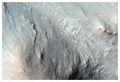 Central Uplift of a Large Impact Crater