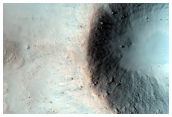 Central Uplift of a Large Impact Crater