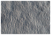 Possible Ice Exposure in Fresh Impact Crater