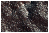 Curvilinear Debris Fill in Unnamed Crater North of Spallanzani Crater