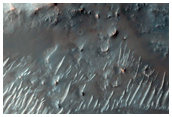 Central Structure of an Impact Crater