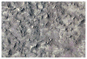 Floor of an Impact Crater in South Elysium Planitia