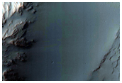 Light Rocks in Columbus Crater