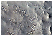 Pitted Deposits in 30-Kilometer Diameter Crater in Tempe Terra