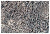 Possible Chloride Salts-Rich Terrain in Icaria Planum