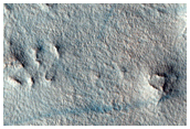 Northern Lowlands