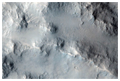 Central Structure of Large Impact Crater