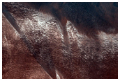 Southern Rim of Louth Crater