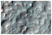 Possible Olivine-Rich Bright Night IR Region in Terra Sirenum