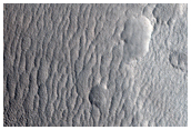 Possible Transverse Aeolian Ridges in Deuteronilus Mensae