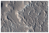 Northern Boundary between Olympus Mons Lava Flows and Tharsis Flood Lavas