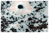 USGS Dune Database Entry Number 2246-731