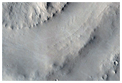Concentric Circular Features and Sinuous Ridge in Arabia Terra