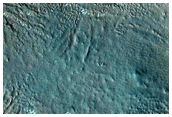 Gullies on Wall of Lota Crater