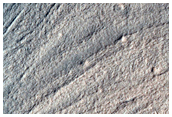 Volatiles and Gullies