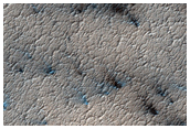 South Polar Fans