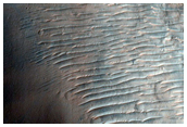 Possible Phyllosilicate-Rich Terrain on Rim of Crater