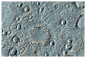 Crater Floor with Depressions Containing Circular Mesas